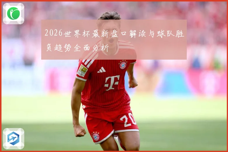 2026世界杯最新盘口解读与球队胜负趋势全面分析