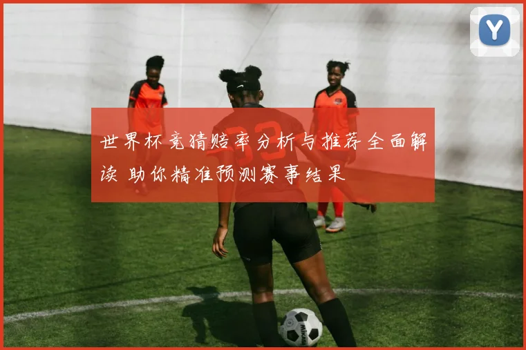 世界杯竞猜赔率分析与推荐全面解读 助你精准预测赛事结果