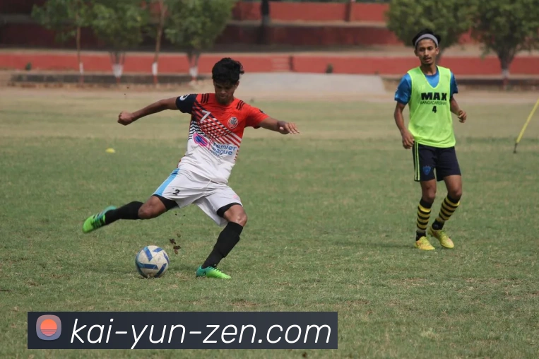 开云官网全站App